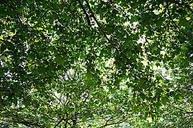 51吃瓜网-热心的朝阳群众,分享每日新鲜事儿｜朝阳区热心网友共享新鲜事引发的社区热潮